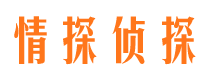 镇雄市婚外情调查